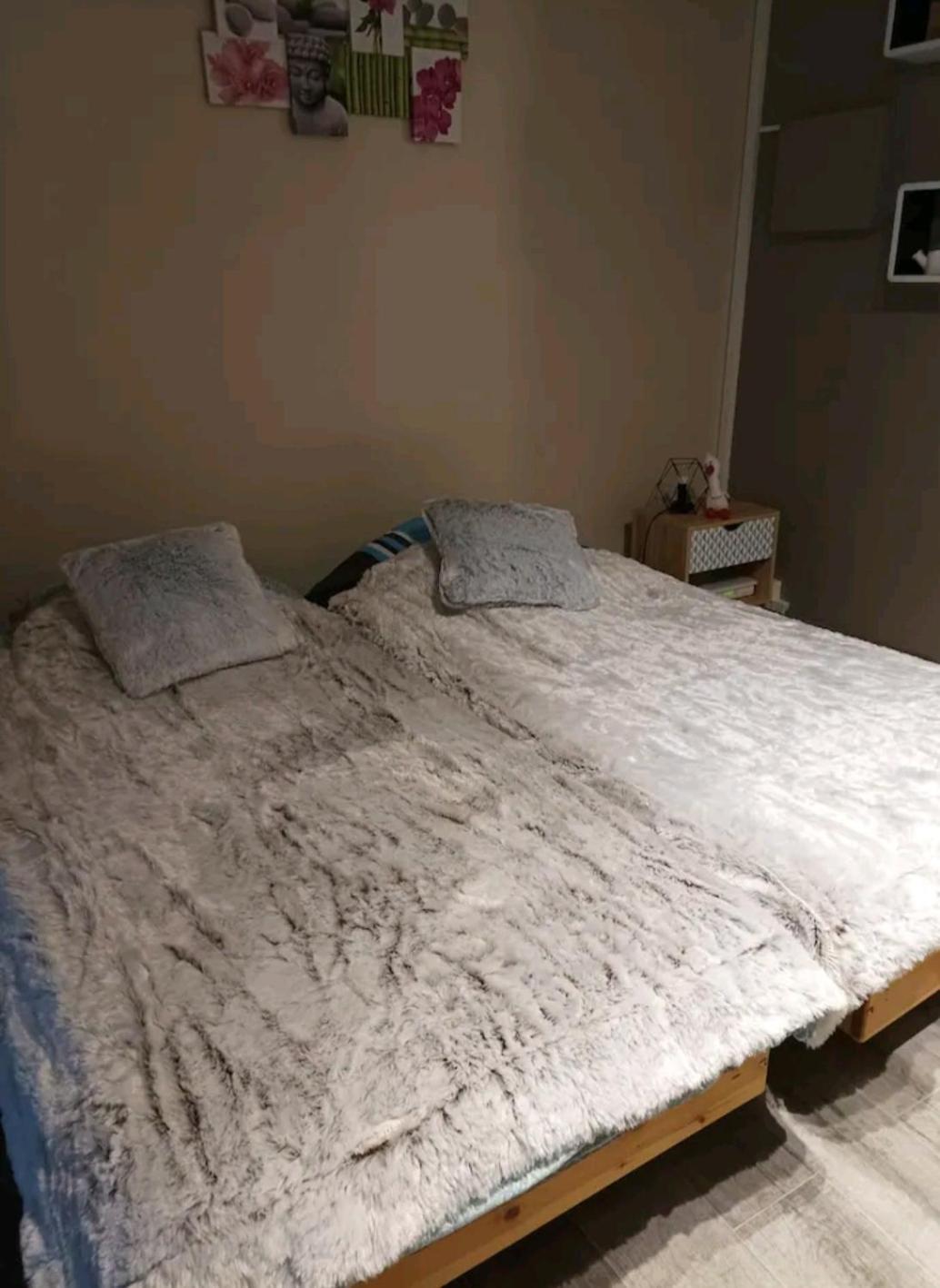 Le Cocon De Apartment Sausheim